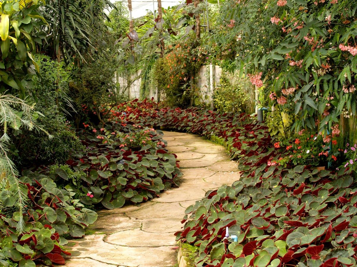 A garden path at a senior living community